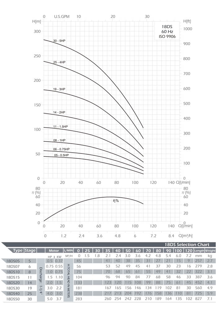 DS Series Submersible Pump